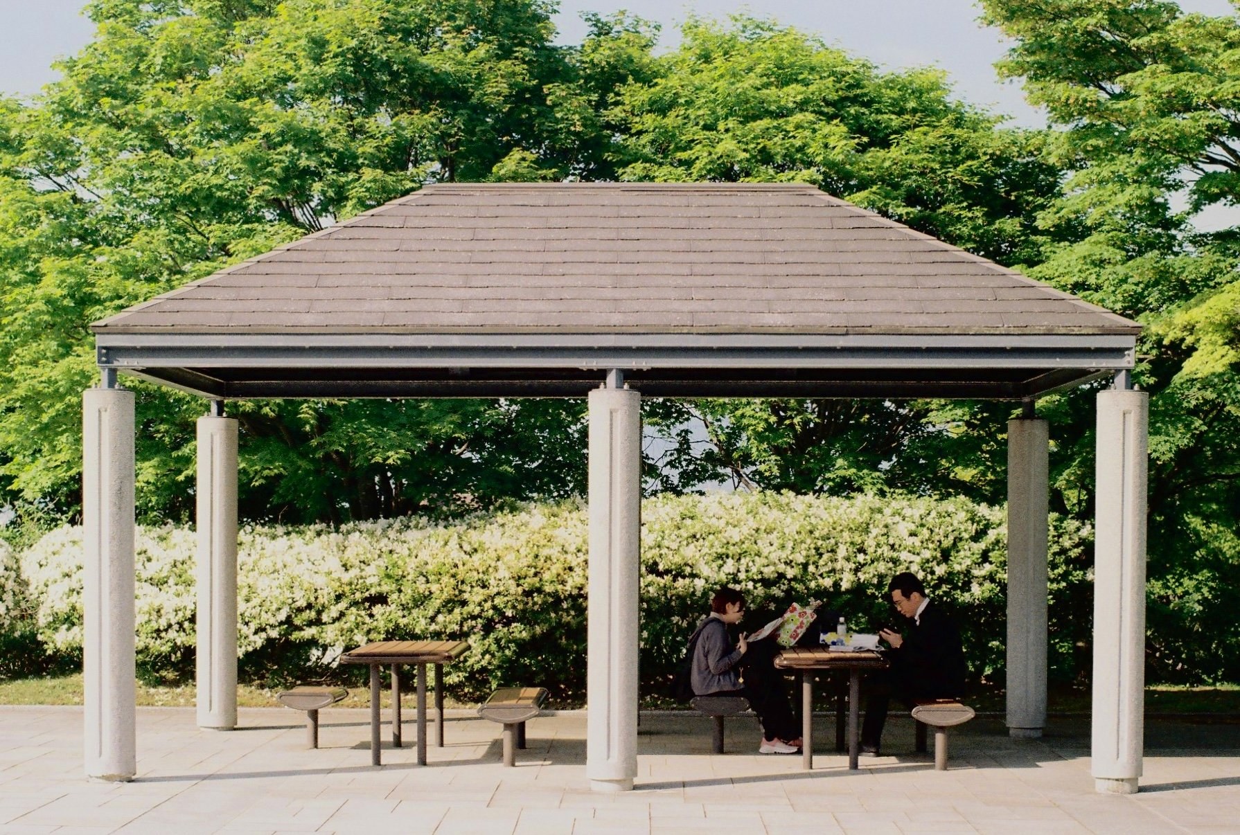 Studying in summer (Pentax LX, 50mm f/1.4)
