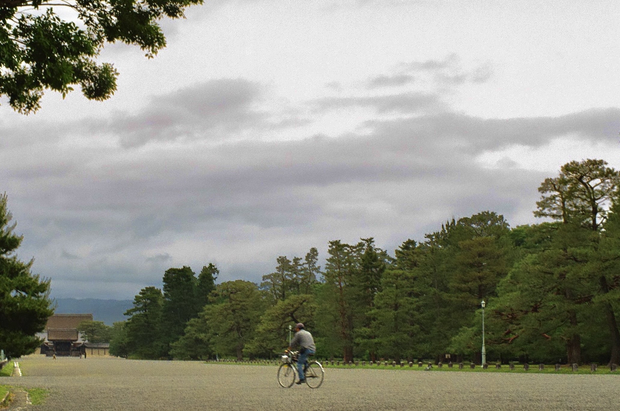 Cycling in Kyoto (Pentax LX, 50mm f/1.4)