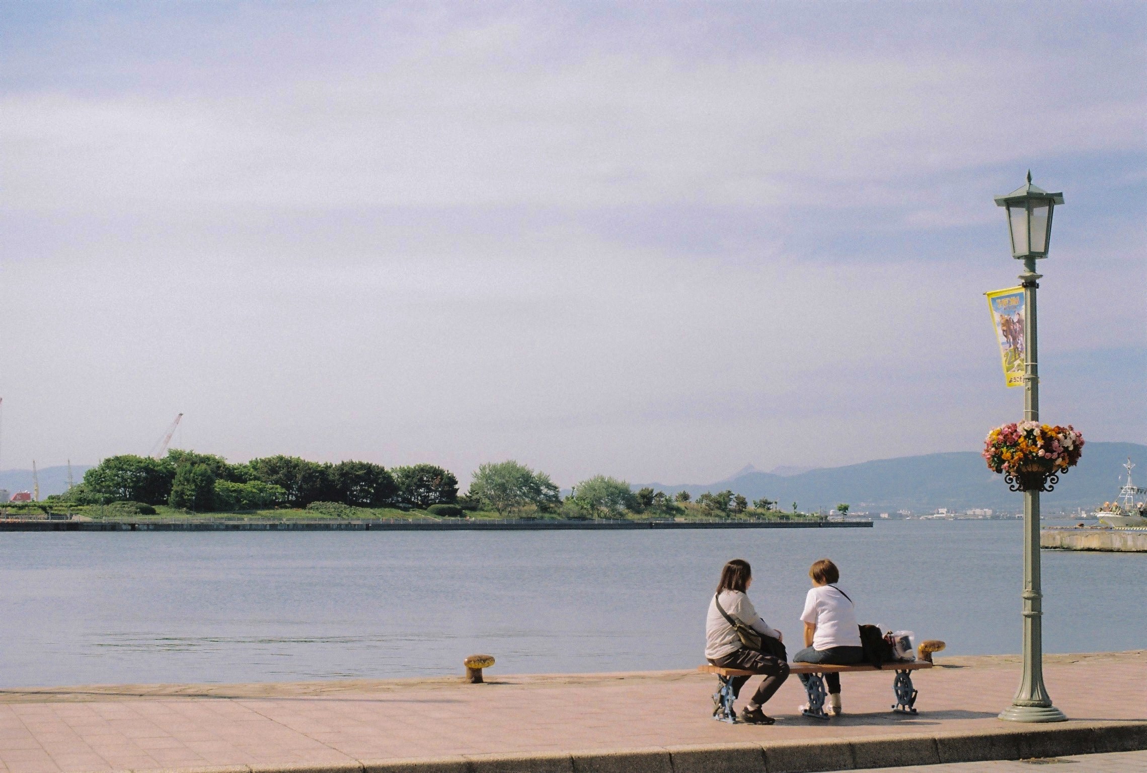 Watching the waves (Pentax LX, 50mm f/1.4)